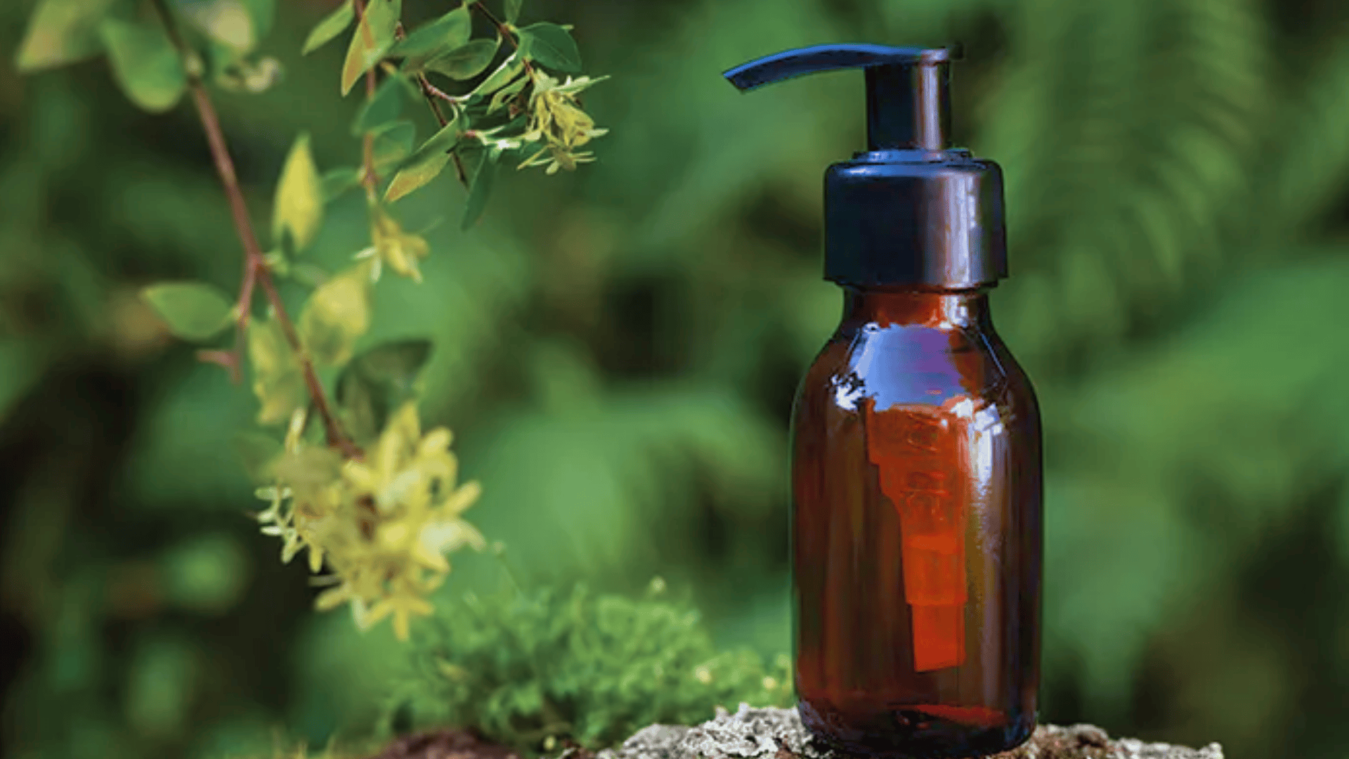 Bhringraj Oil- Benefits and Side-effects