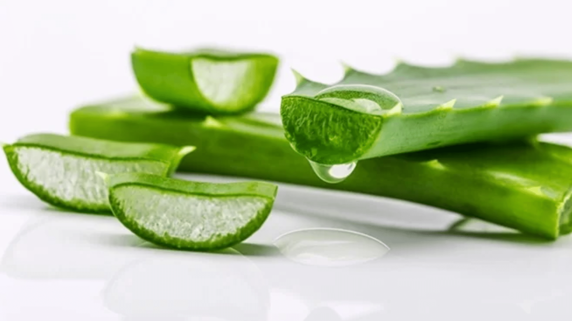 aloevera