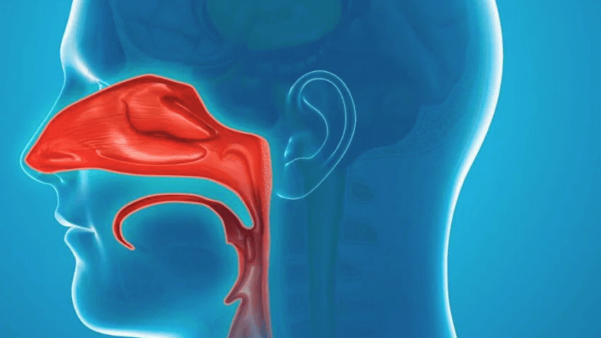 does-exercise-trigger-your-runny-nose