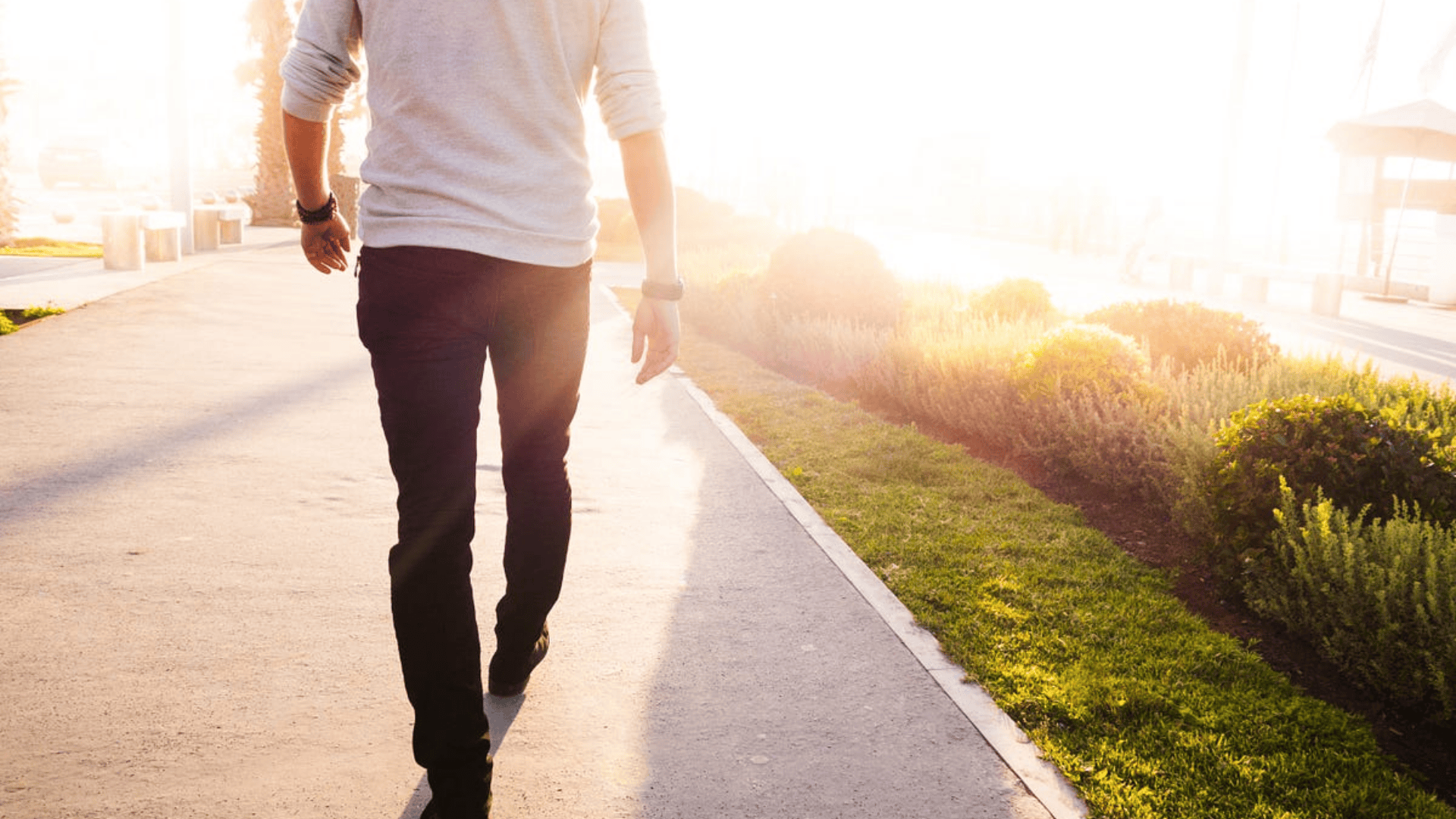 incorporate-movement-into-daily-life