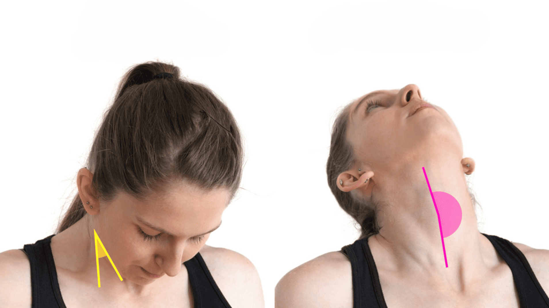 neck-flexion
